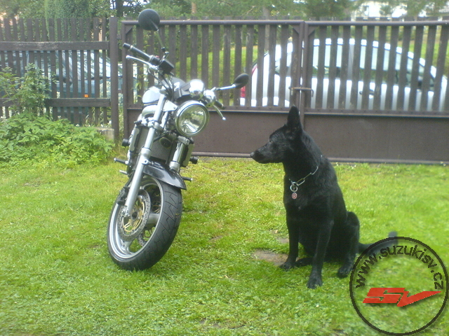 Obrázek